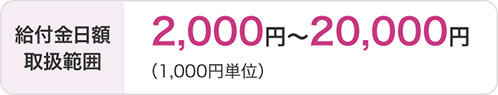 給付金日額取扱範囲 2,000円～20,000円(1万円単位)