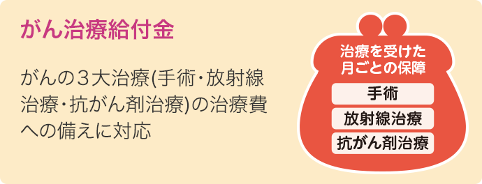 がん治療給付金 がんの3大治療(手術・放射線治療・抗がん剤治療)の治療費への備えに対応 治療を受けた月ごとの保障 手術 放射線治療 抗がん剤治療